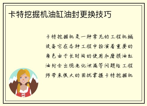 卡特挖掘机油缸油封更换技巧